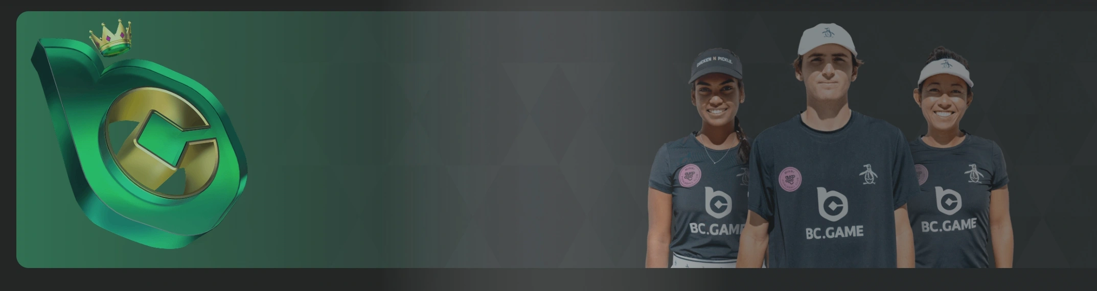 BC Game Sesel website