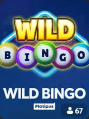 Wild Bingo BC Game Sesel game cover