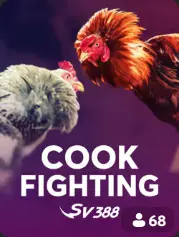 Cock Fighting BC Game Sesel game cover